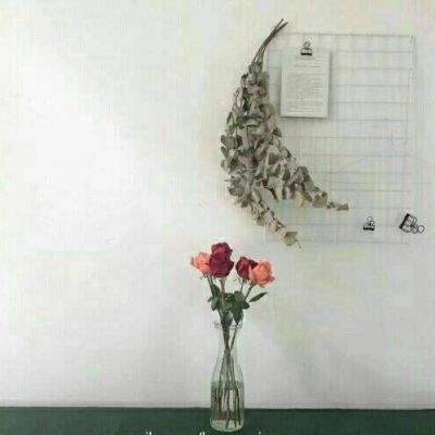 小鼠世界手机版下载